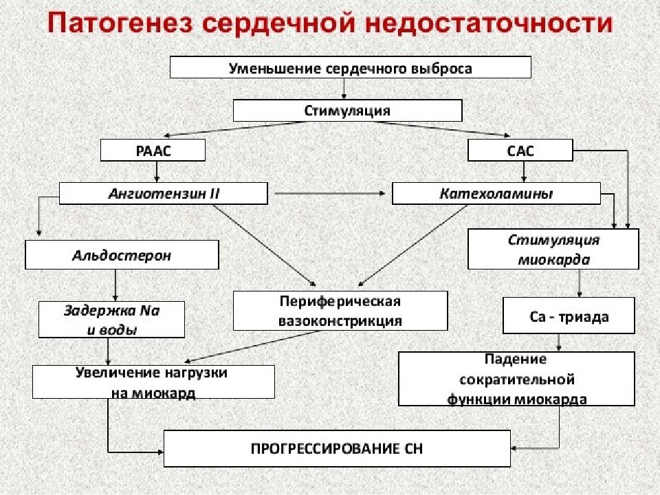 Сердечная недостаточность патофизиология презентация