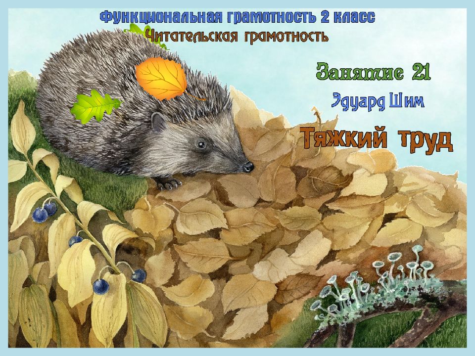 24.02