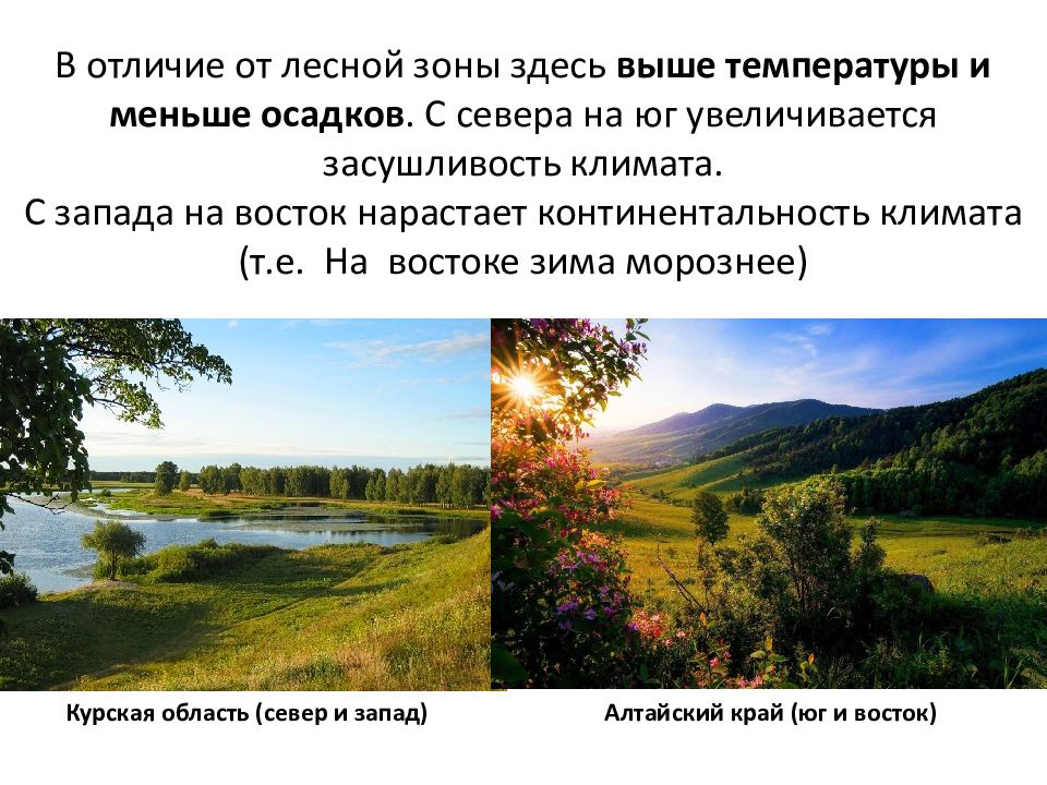 Природа степей презентация