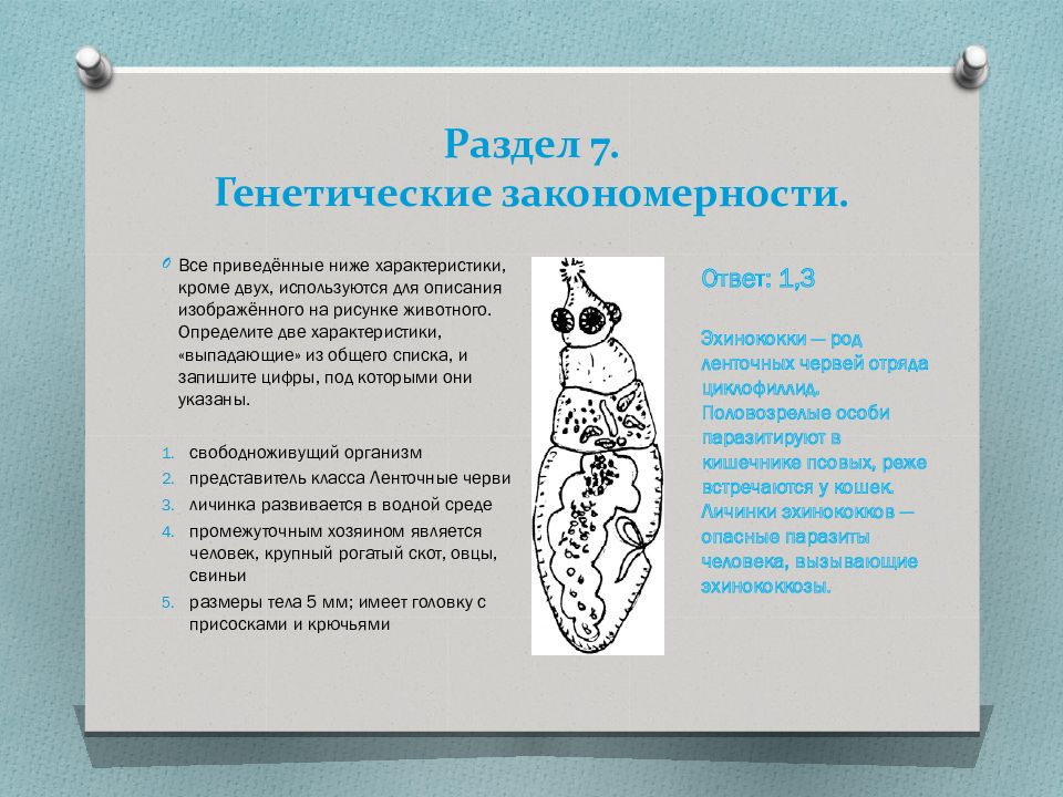 Опираясь на знания генетических закономерностей