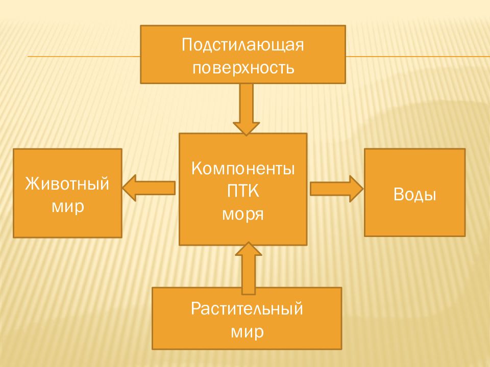 Любой компонент. Компоненты ПТК. Компоненты ПТК моря. Основные компоненты ПТК. Море природные компоненты.