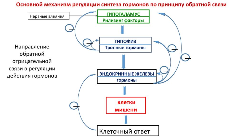 Обратная связь в коллективе осуществляется по схеме