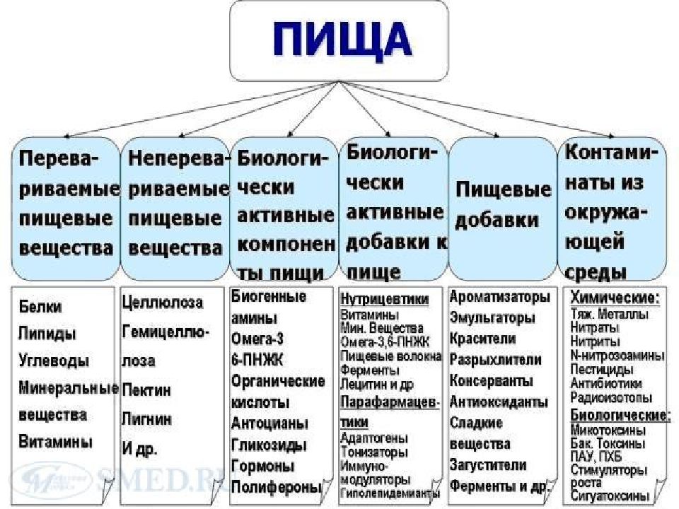 Какие основные нутриенты входят в качественный состав пищи заполните схему