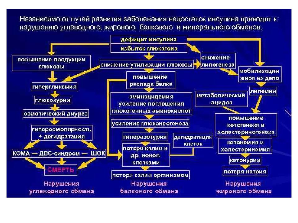 Какое заболевание развивается у человека при нарушении функции изображенной на рисунке железы