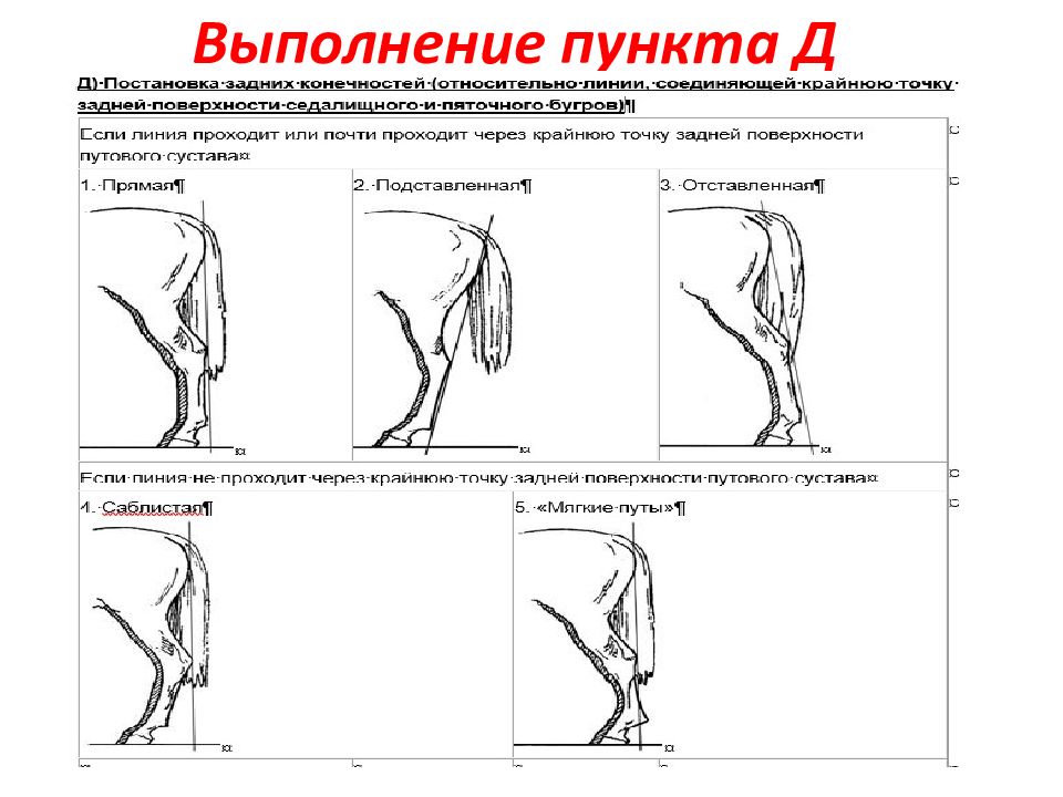 Выполнение пунктов