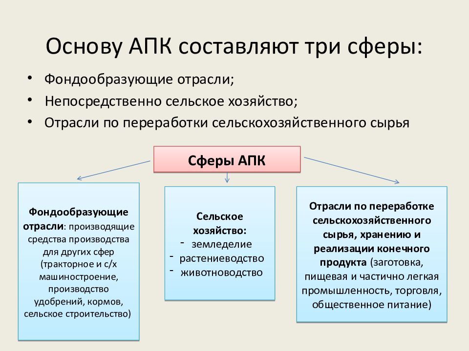 К первому звену апк относятся