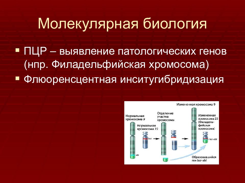 Хронические лейкозы презентация