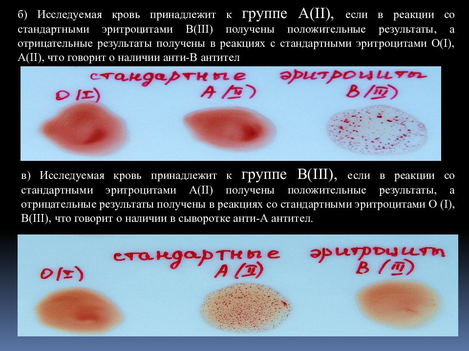 1 положительная группа крови фото