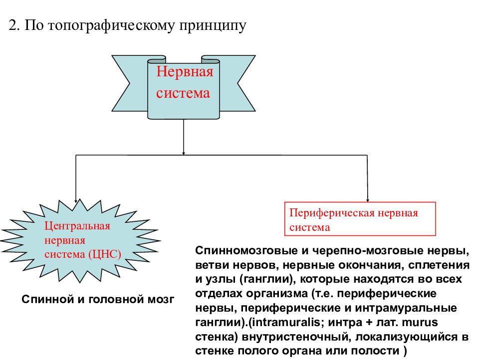 Системы делят