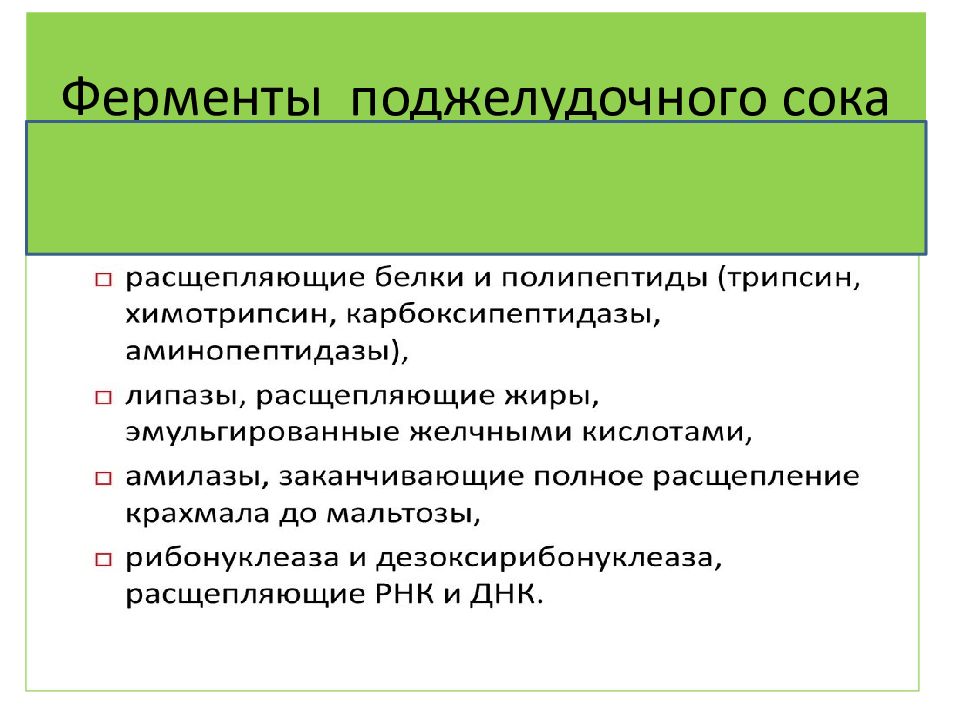 Ферменты панкреатического сока расщепляют