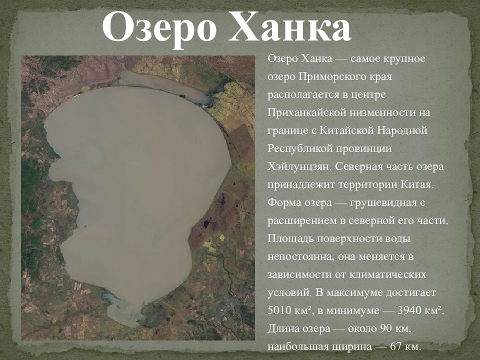 Значение озера ханка. Озеро ханка Приморский край. Ханка озеро озеро ханка. Озеро ханка сообщение. Озеро ханка презентация 8 класс.