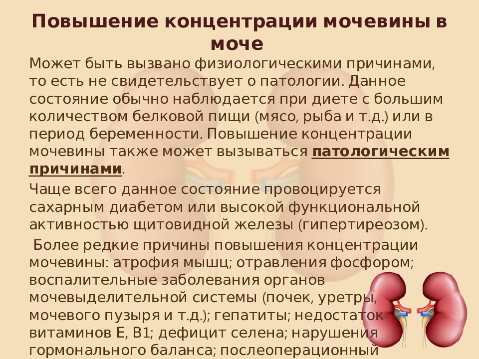 Повышенная мочевина причины. Повышение мочевины в моче. Повышение концентрации мочевины. Завышена мочевина в моче. Концентрация мочевины в моче.