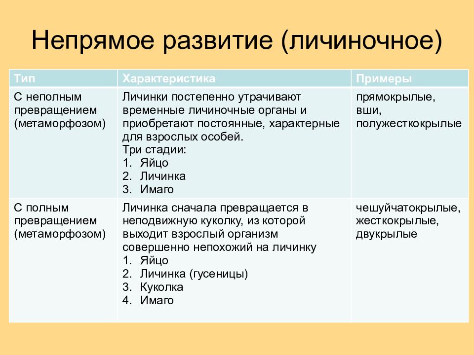 Предложите схему сравнения которая показывает чем прямое развитие отличается от непрямого расскажите