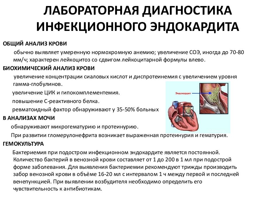 Методы обследования в кардиологии презентация