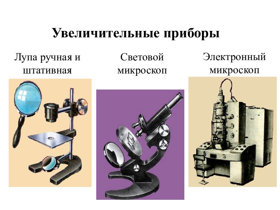 Прибор 5 класс. Увеличительные приборы 5 класс биология. Лупа и микроскоп увеличительные приборы. Увеличительный прибор микроскоп ТЕП. Увеличительные приборы световой микроскоп 6 класс биология.