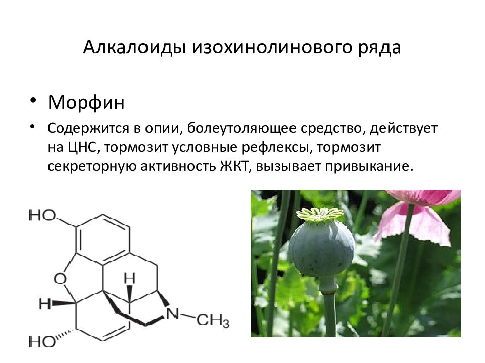 Алкалоиды это. Алкалоид опия изохинолинового ряда. Формулы алкалоидов растений. Алкалоиды формула химическая. Алкалоиды химическое строение.