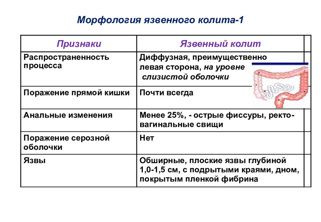 Болезни органов пищеварения презентация