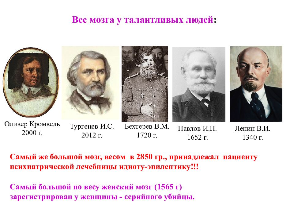 Мозги тургенева. Вес мозга Тургенева. Масса мозга знаменитых людей. Объем мозга Тургенева. Мозг Тургенева весил.