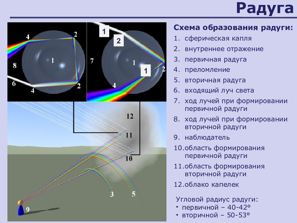 Оптик радуга. Механизм образования радуги. Схема образования радуги. Схема образования двойной радуги. Образование первичной радуги.