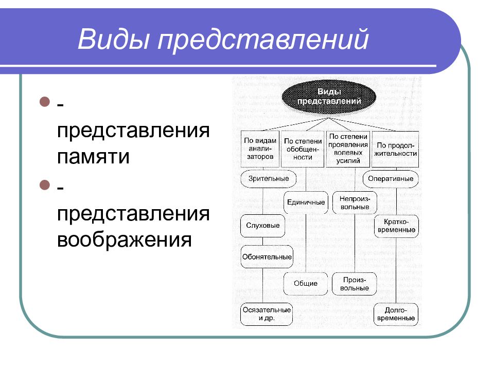 Представление памяти. Виды представлений. Представление виды представлений. Виды представлений в психологии. Представления памяти виды.