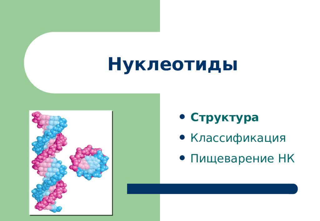 Структура л. Биогенные Амины классификация. АМК биология. AEL структура. L-структура.