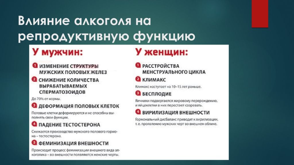 Презентация влияние алкоголя на организм человека 9 класс