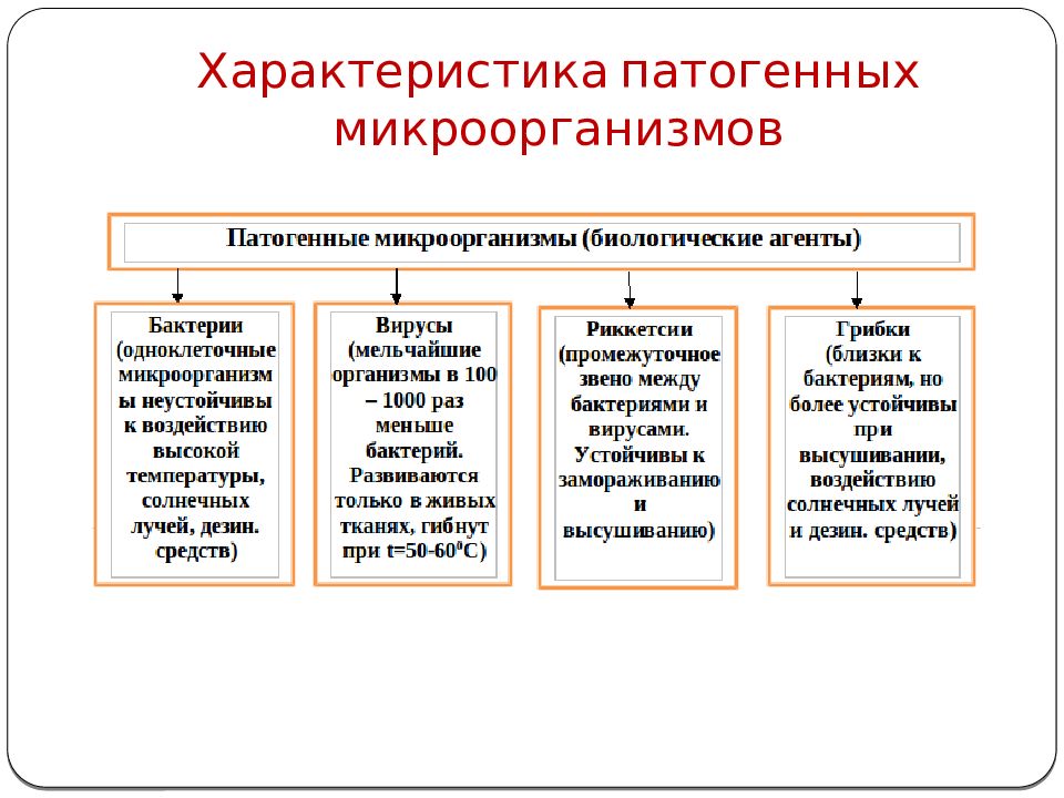 Свойства патогенных микроорганизмов схема