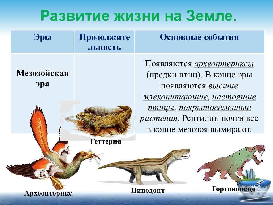 Этапы развития жизни на земле картинки