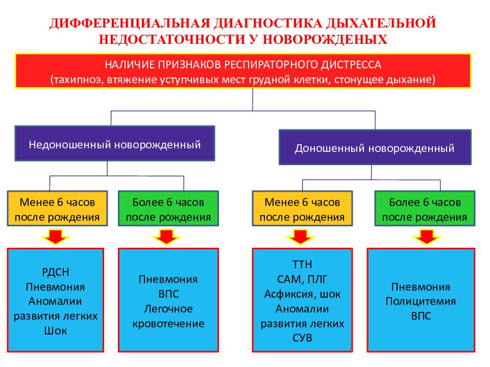 Диагностика острой дыхательной недостаточности. Диф диагностика дыхательной недостаточности. Диф диагностика острой дыхательной недостаточности. Дифференциальная диагностика при дыхательной недостаточности. Дифференциальная диагностика одн.