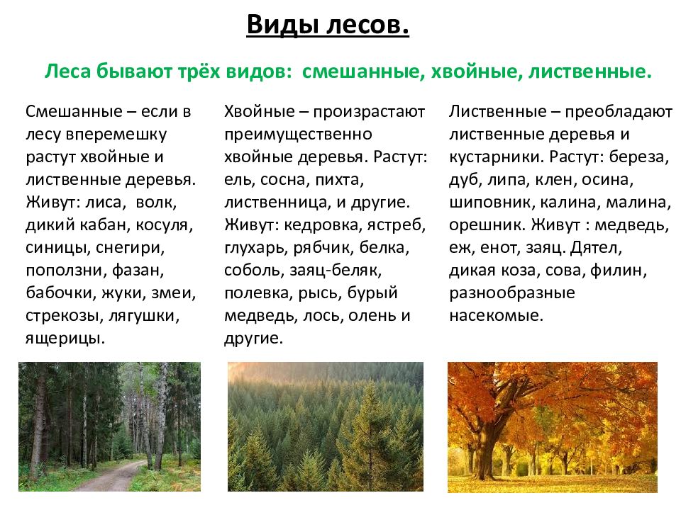 Презентация 4 класс природные сообщества родного края