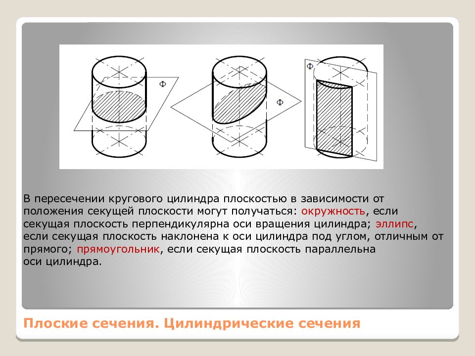 Плоскость пересекает цилиндр. Сечение цилиндра эллипс. Сечения прямого кругового цилиндра. Круговое сечение цилиндра. Сечения цилиндрической поверхности.