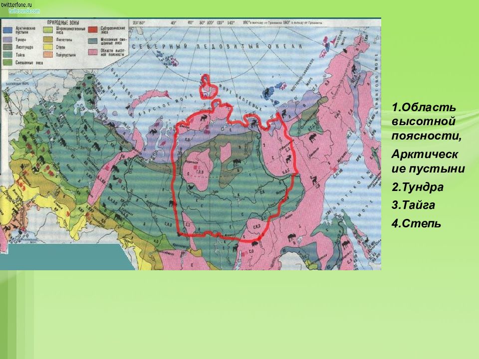 Природная зона россии области высотной поясности. Области ВЫСОТНОЙ поясности на карте России.