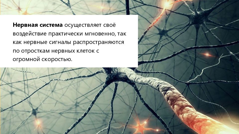 Воздействию практически. Последняя нервная клетка. Мои нервные клетки. Моя последняя нервная клетка прикол. Нервная клетка моя оставшаяся.