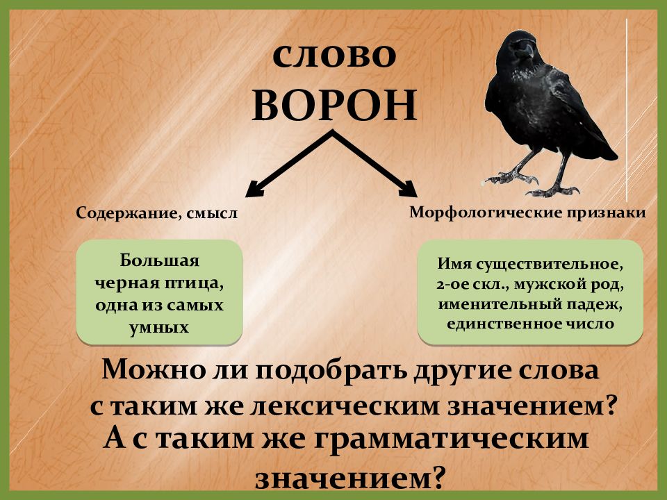 Содержание ворона. Морфологический критерий ворон. Антонимы к слову ворона. Антоним к слову ворон. Морфологический критерий ворона.