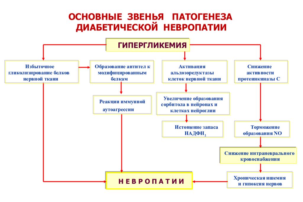 Схема патогенеза чумы