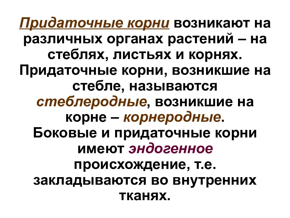 Метод корень. Придаточный корень термин. Придаточные корни функции. Функция придаточных корней. Придаточное пример растения.