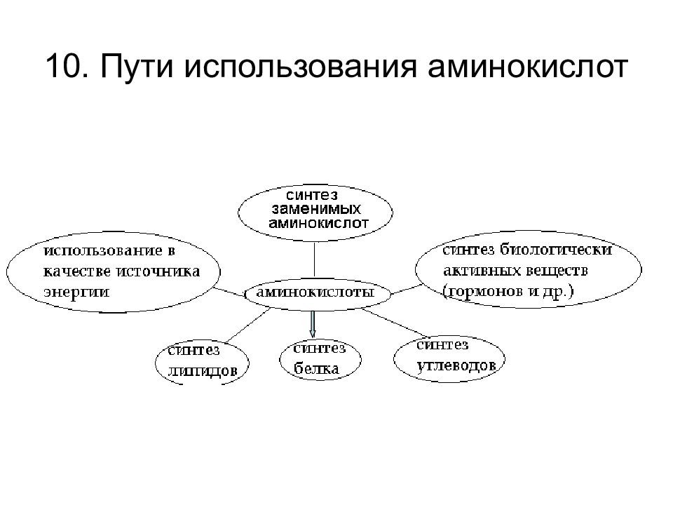 Использовать аминокислоты. Пути поступления и использования аминокислот в организме. Источники и пути использования свободных аминокислот. Схема источники и пути использования аминокислот. Пути пополнения и использования аминокислот в организме биохимия.