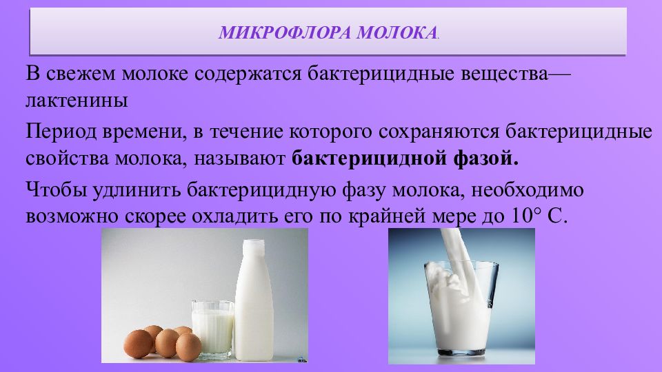 Химические свойства молока. Микрофлора молока и молочнокислых продуктов. Микрофлора молока и молочных продуктов микробиология. Микрофлора молока презентация. Микрофлора пастеризованного молока.