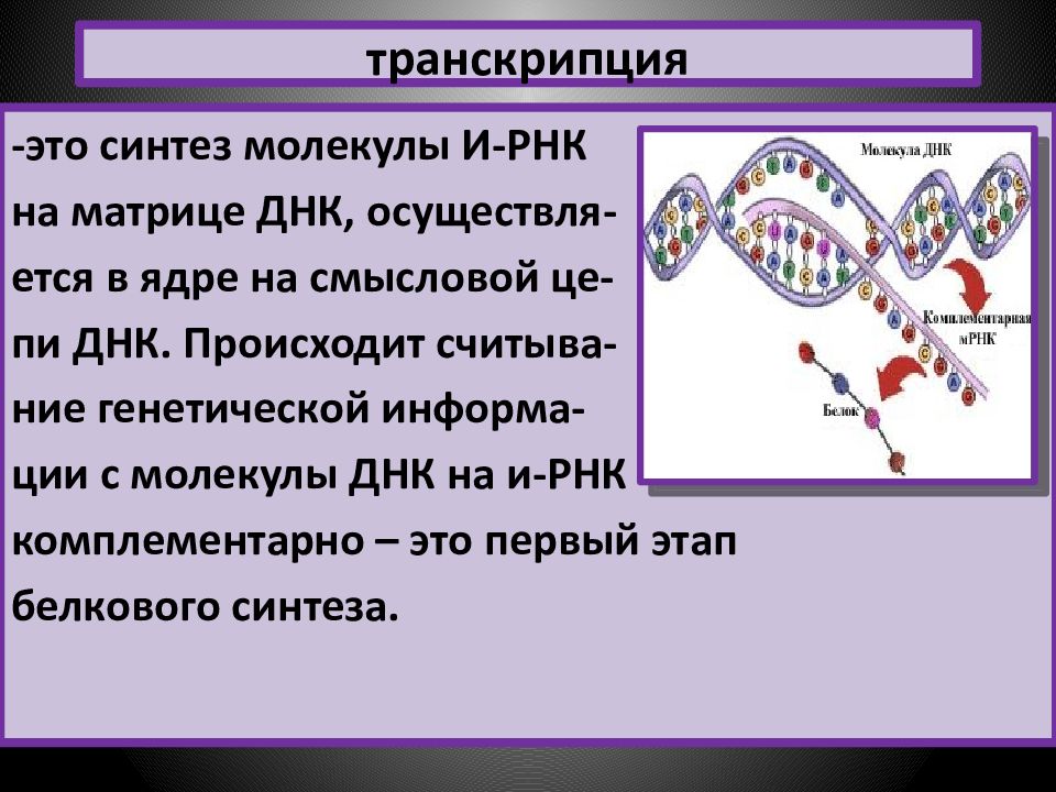 Является матрицей для синтеза рнк. Транскрипция ДНК. Транскрипция ДНК И РНК. Процесс транскрипции ДНК. Синтез РНК транскрипция.