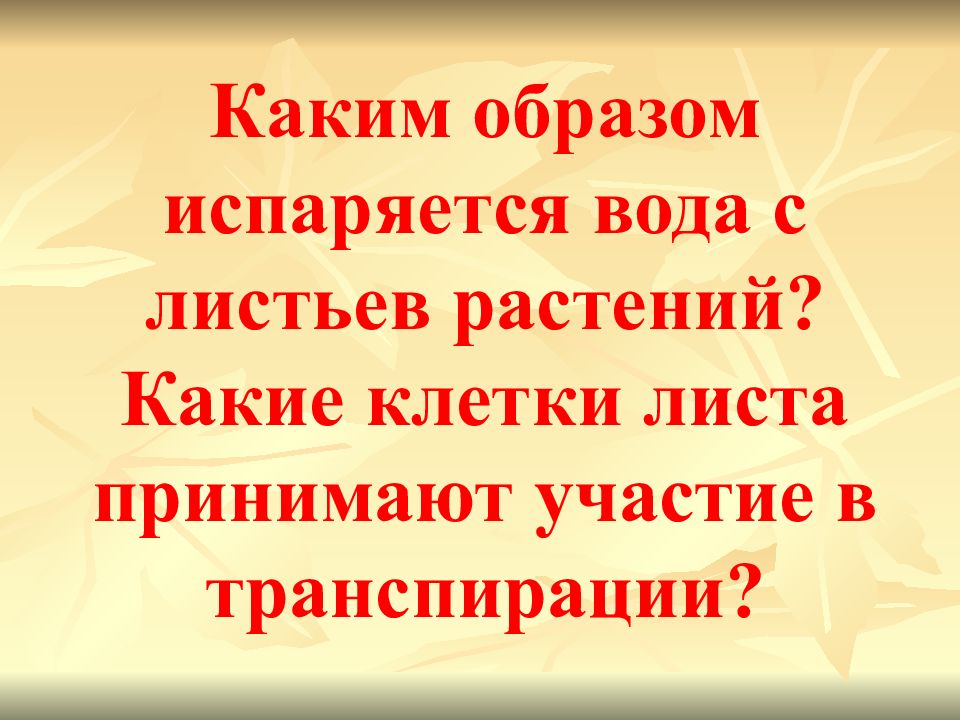 Испарение воды растениями листопад 6 класс презентация