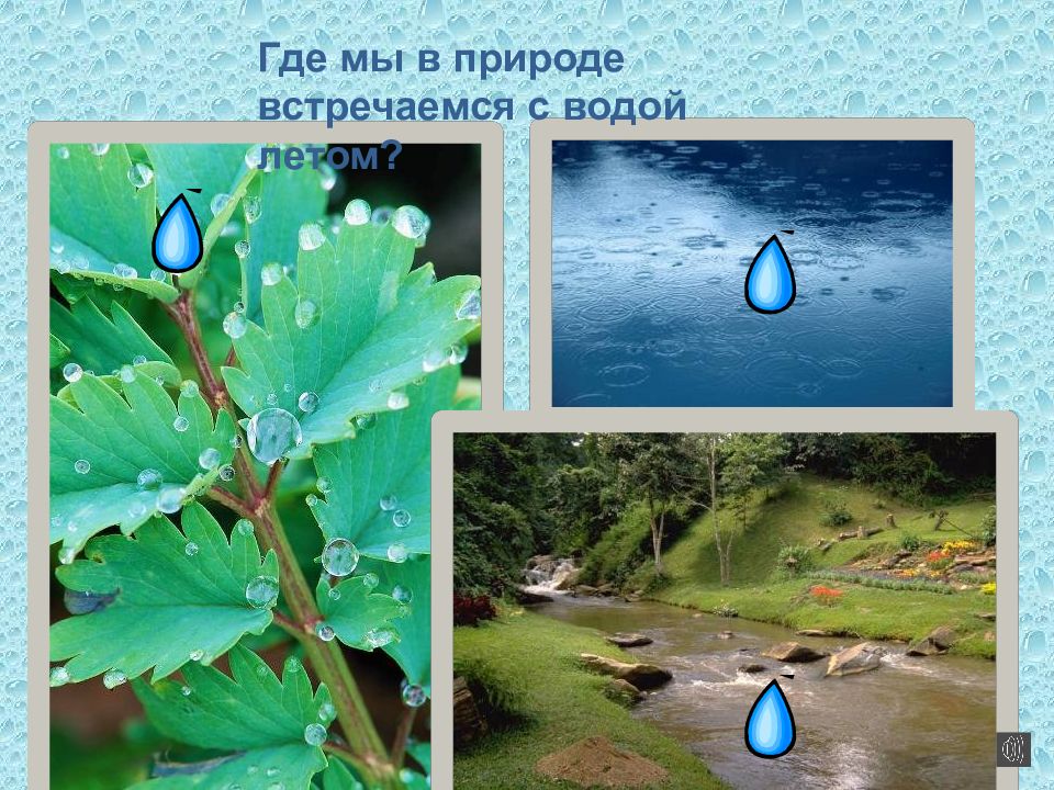 Презентация вода старшая группа