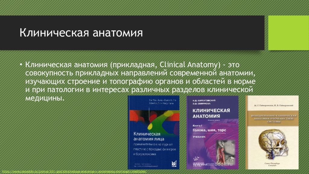 Клиническая анатомия. Клиническая (Прикладная) анатомия. Прикладное направление в анатомии. Прикладное направление изучения анатомии.