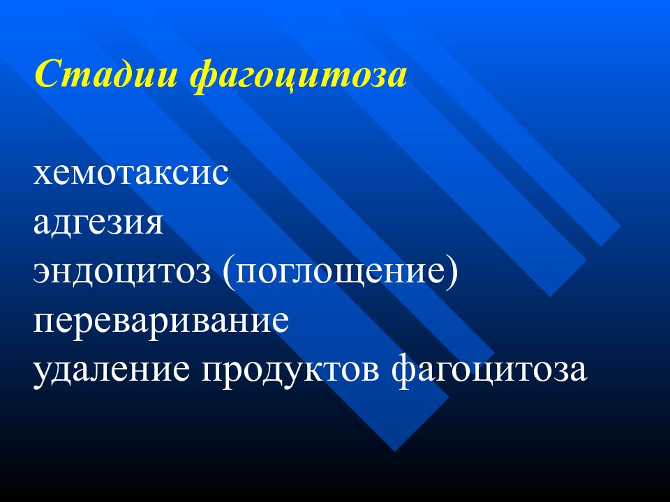 Стадии хемотаксиса. Хемотаксис адгезия. Фагоцитоз стадии хемотаксис адгезия эндоцитоз. Профессиональный фагоци.