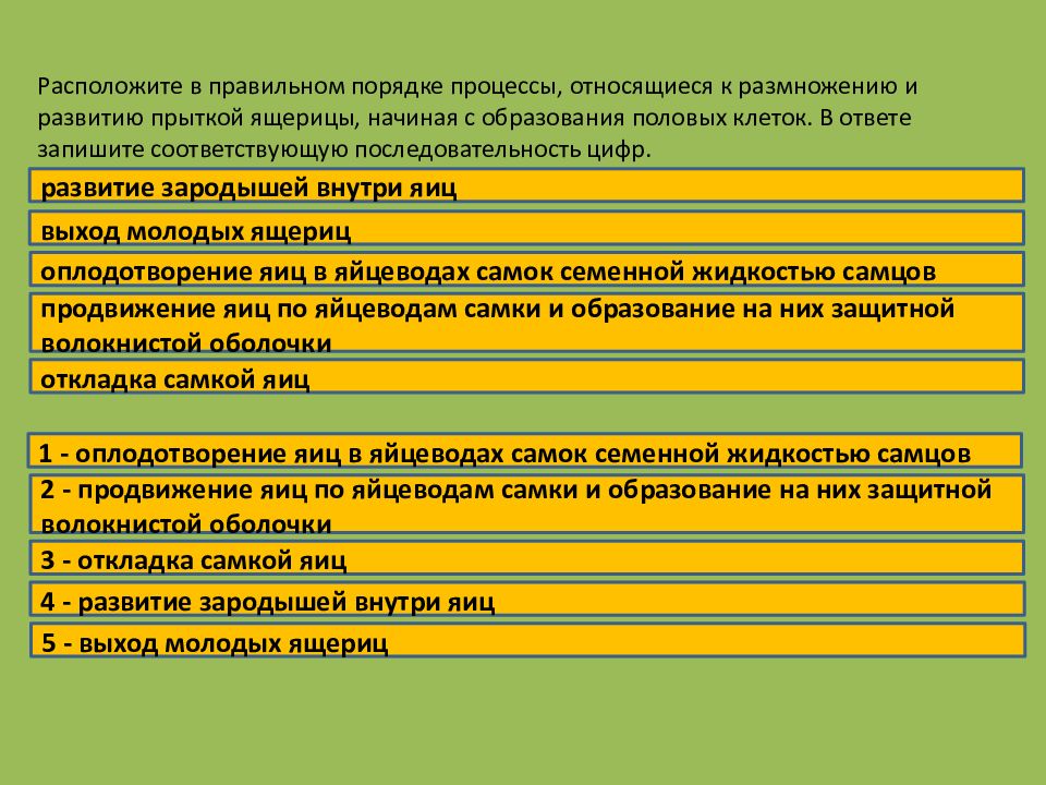 Установите последовательность этапов. Листопад последовательность процессов. Обозначь верную последовательность процессов. Процесс листопада этапы. Установите верный порядок.