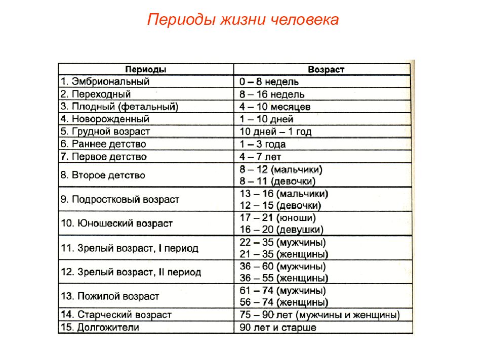 Возрастные периоды человека картинка