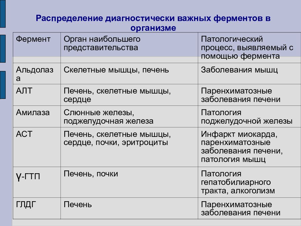 Ферменты и их роль в организме человека презентация 8 класс пасечник линия жизни