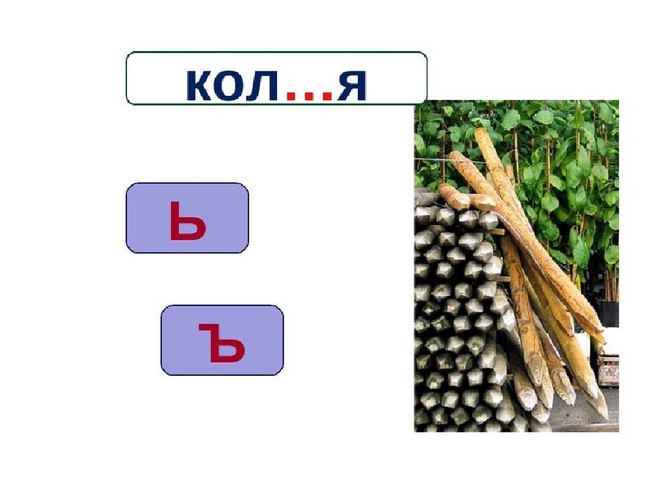 Обобщение знаний по курсу русского языка за 2 класс презентация