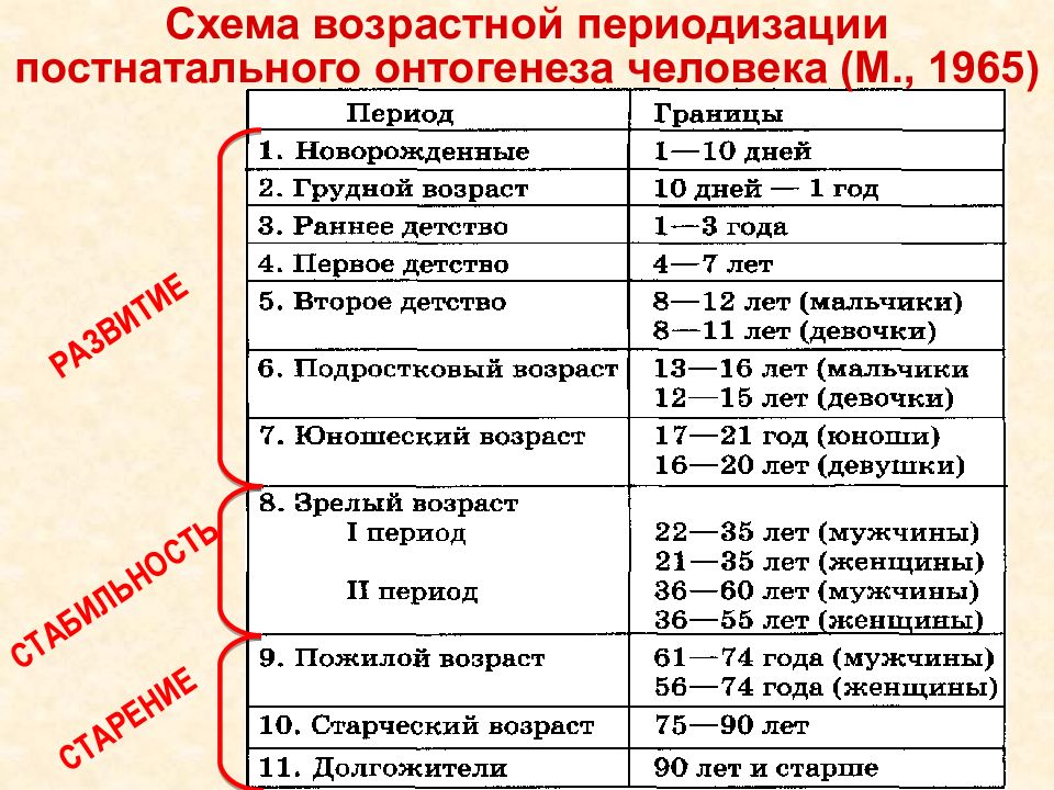 Презентация 8 класс развитие человека возрастные процессы 8 класс