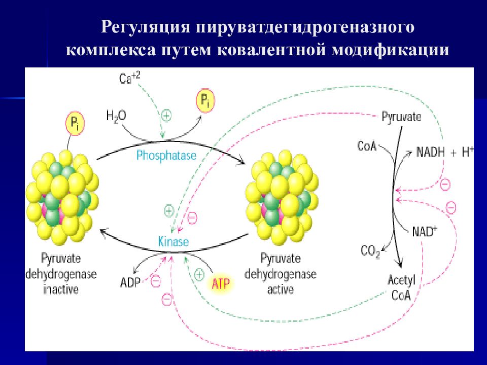 Комплекс путем