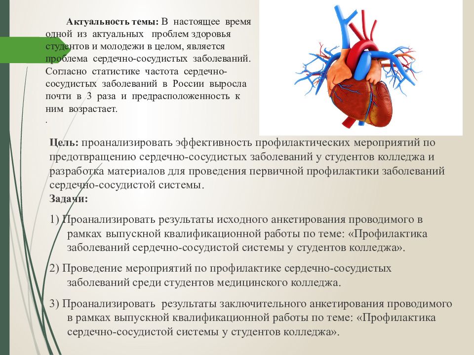 Сестринская помощь при патологии сердечно сосудистой системы презентация